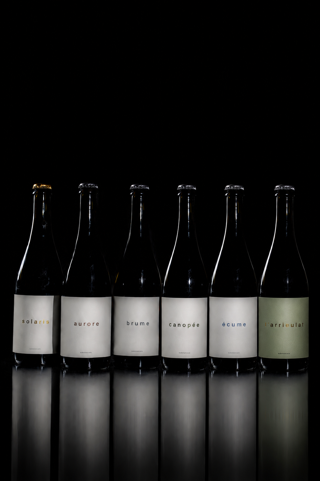 "Pack dégustation" - Thés fermentés gastronomiques