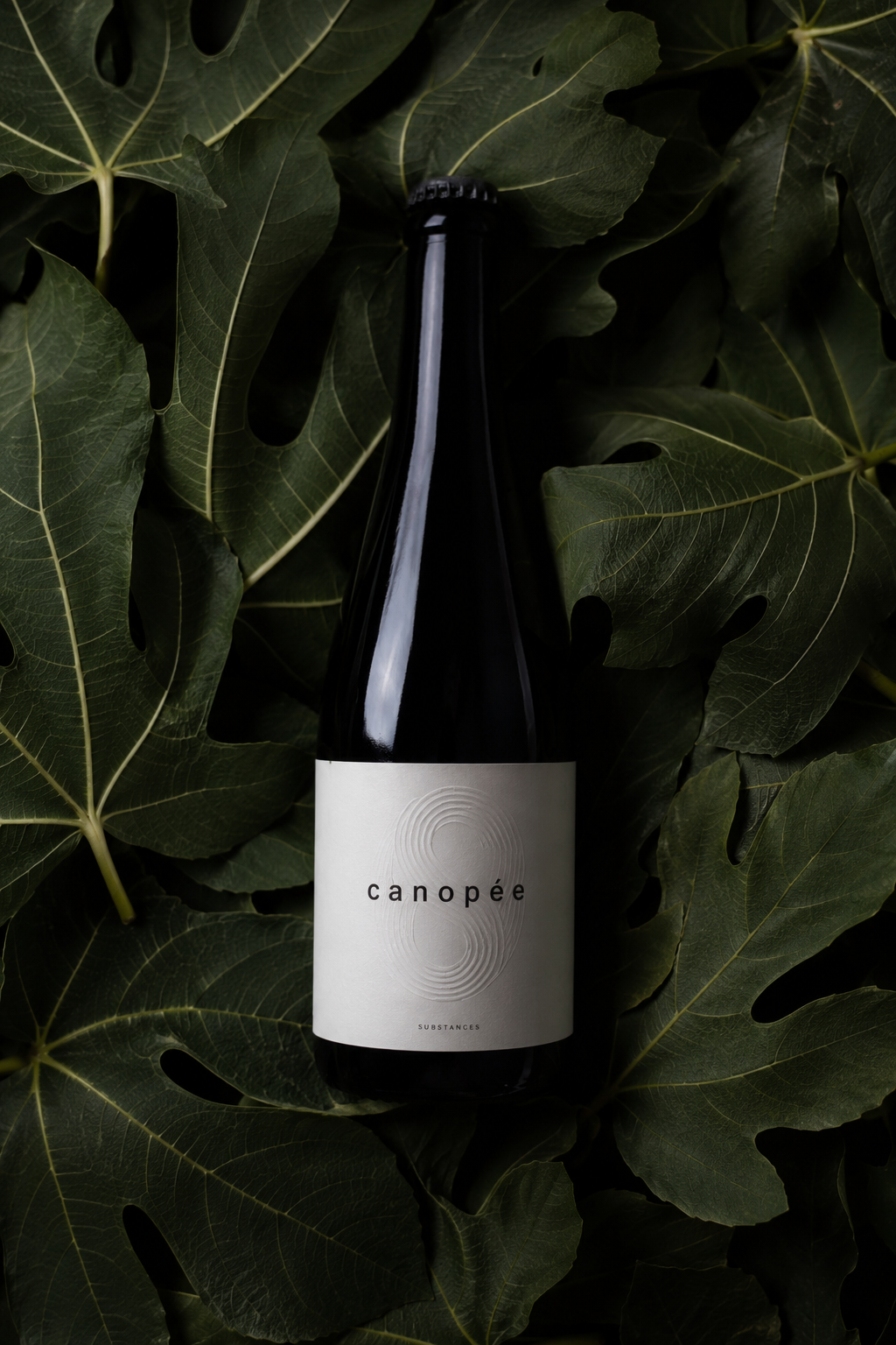 Canópee – Thé pétillant gastronomique sans alcool 75 cl