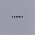 "Ecume" - Thé fermenté gastronomique - 75cl