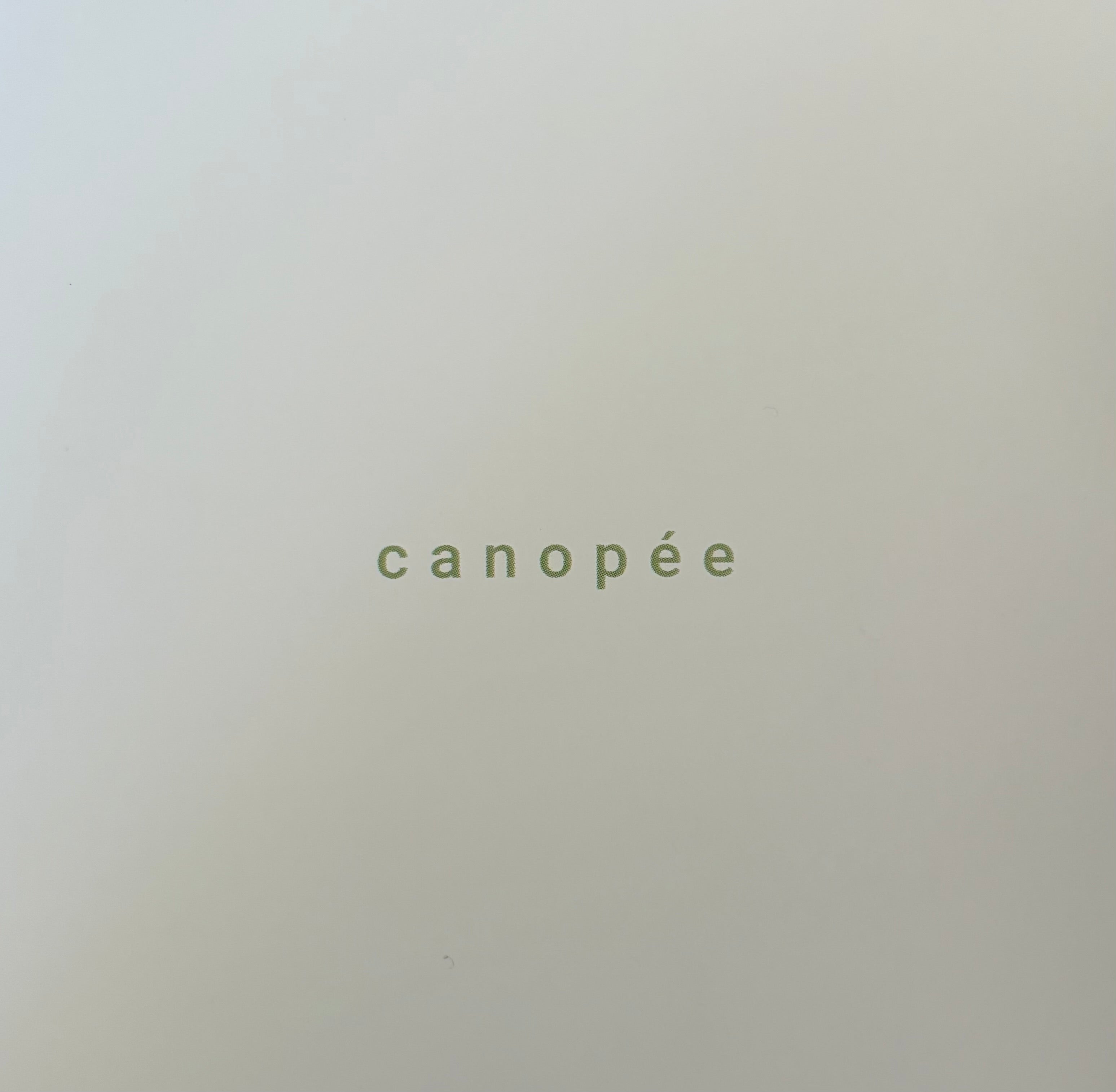 "Canopée" - Thé fermenté gastronomique - 75cl